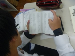 P1030712s